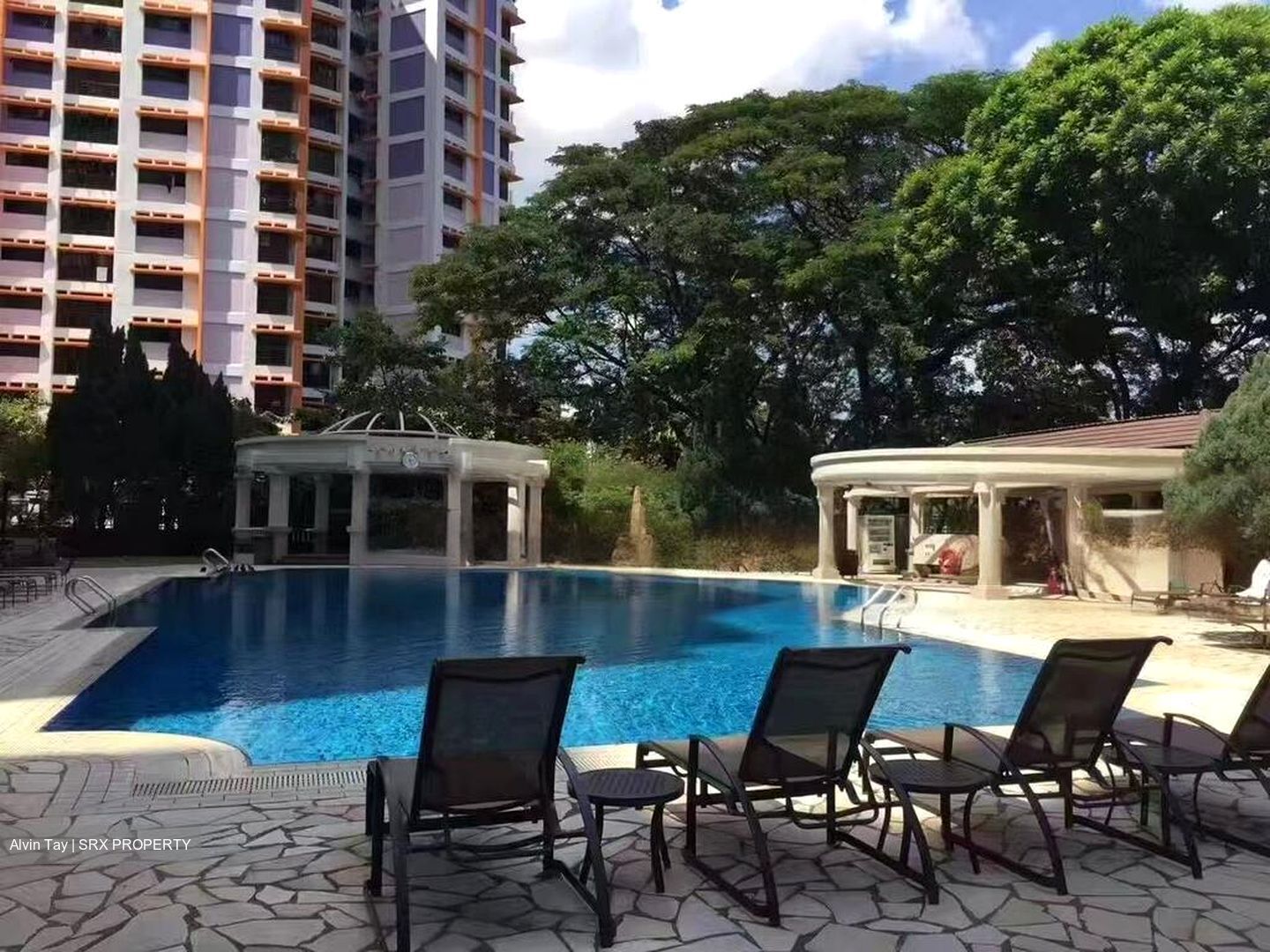 Parc Vista (D22), Condominium #480119731